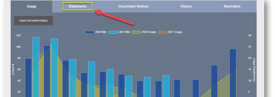 view statements online